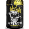 Behemoth Pre-Workout 500G